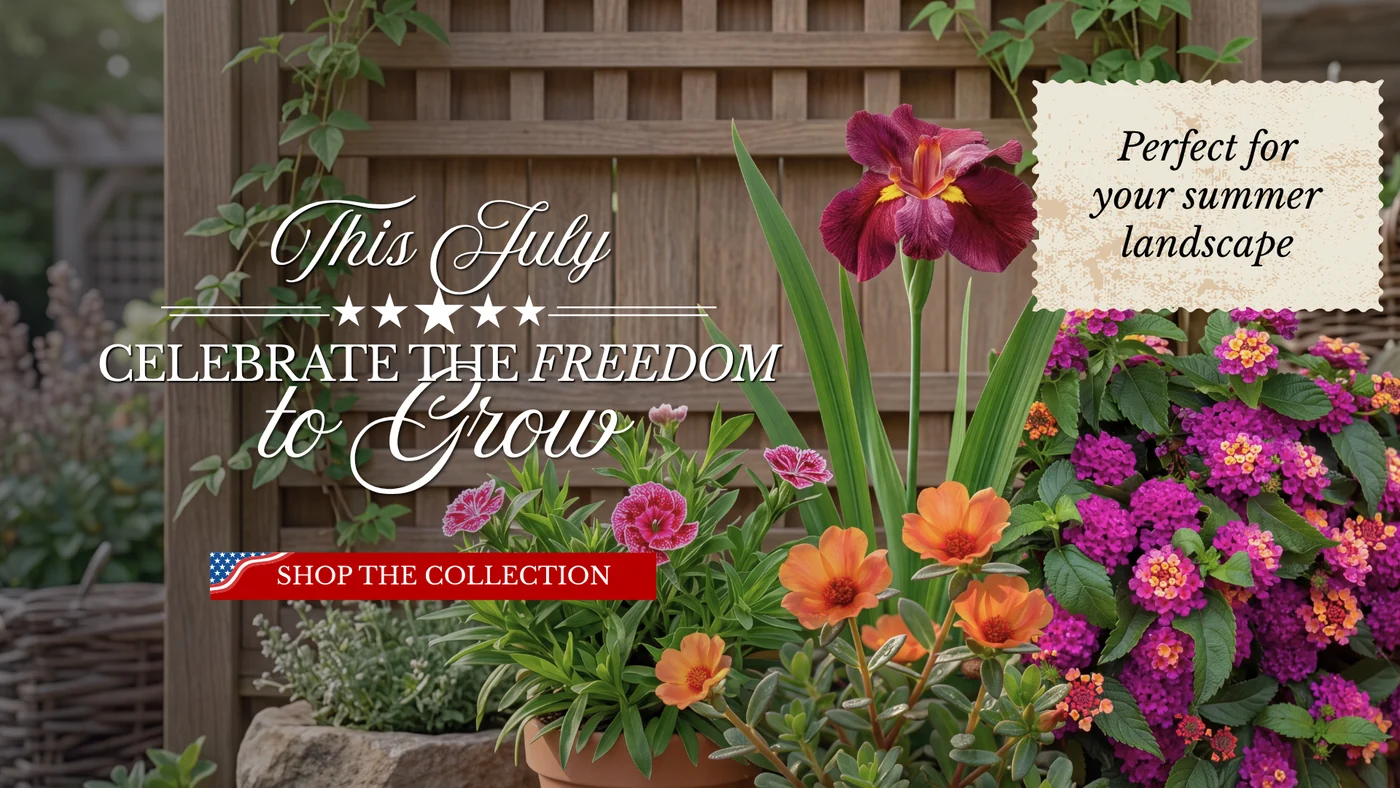 Bring Your Garden to Life