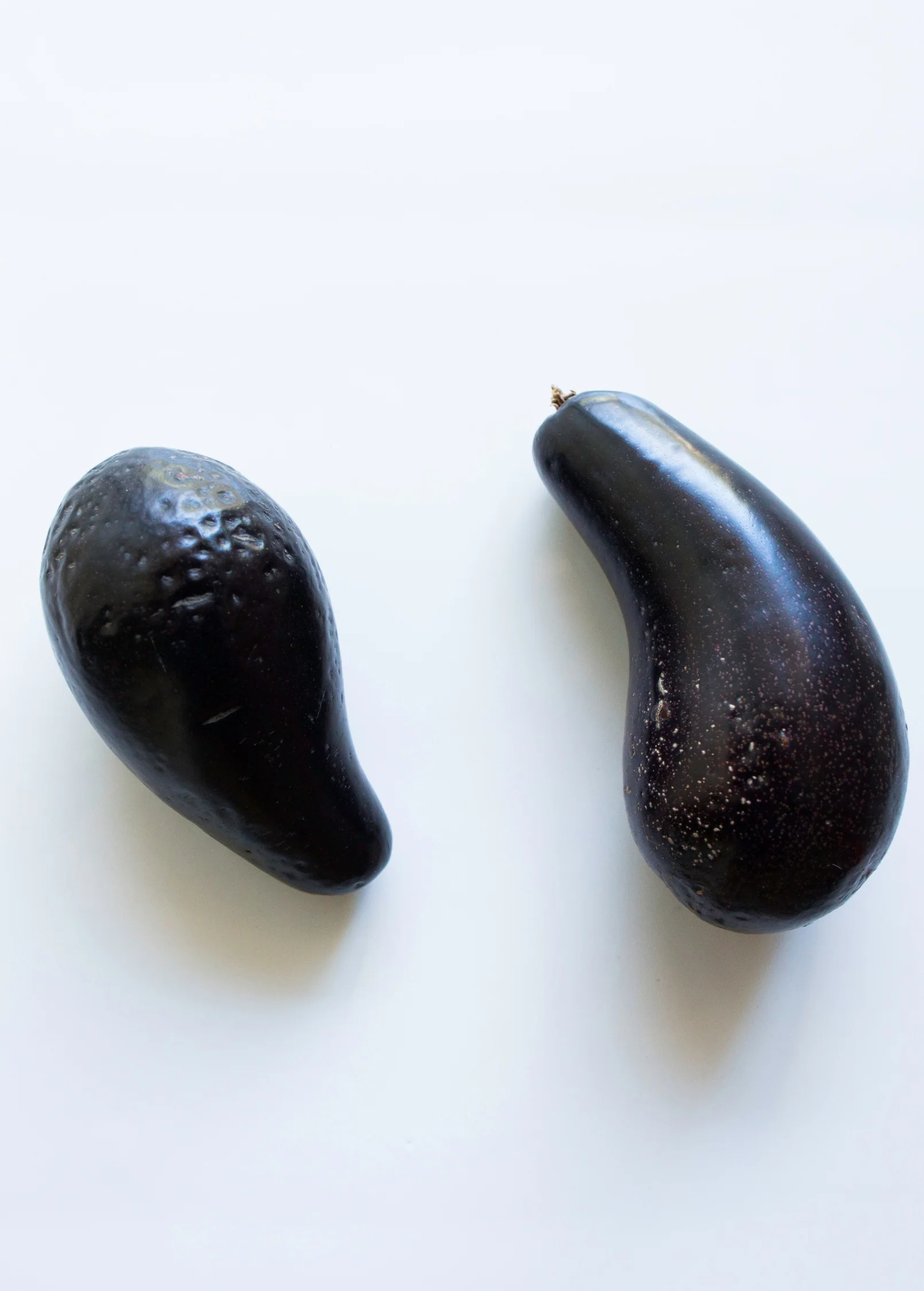 Avocado 'Mexicola' (Persea americana) - Image 3