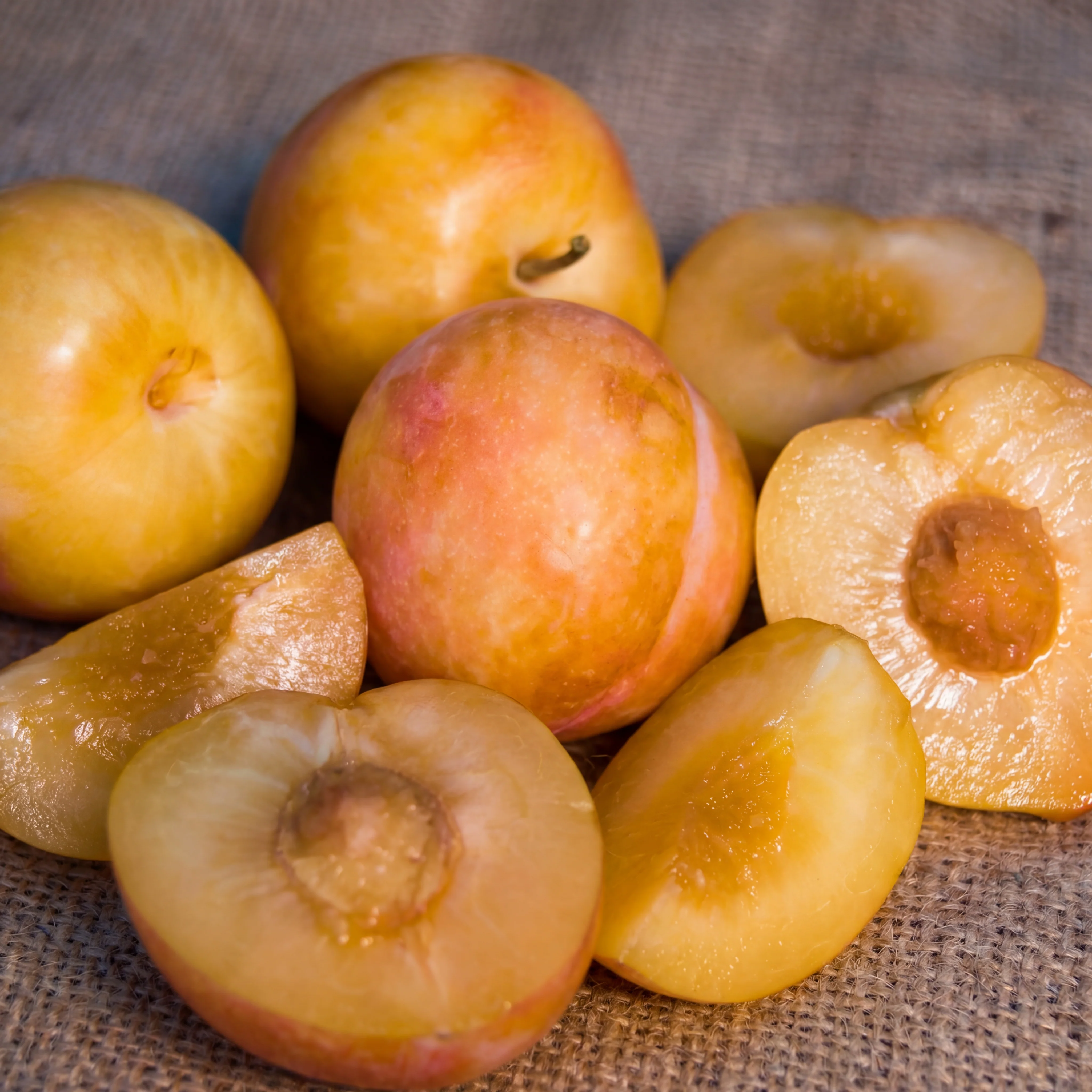 4-in-1 "Zee Sweet Nuggets" Pluot Tree - Image 5